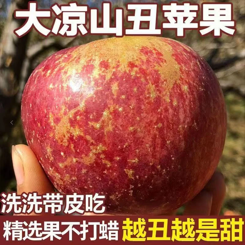 大凉山丑苹果24年新果脆甜多汁农产品糖心好吃产地发