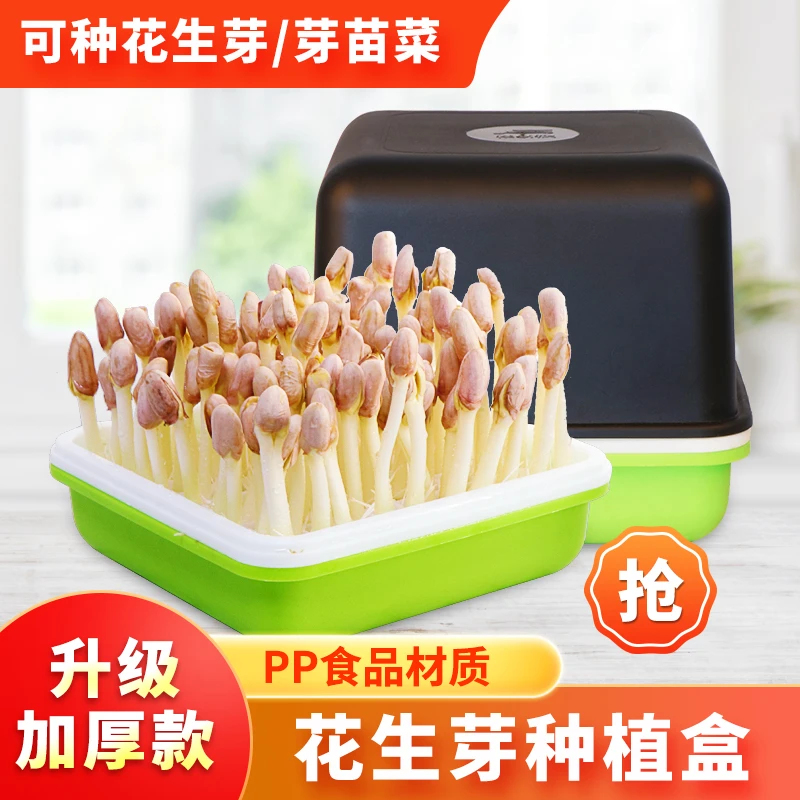 【升级款】花生芽水培盒发芽神器加厚无土水培芽苗菜猫草种植盒避光