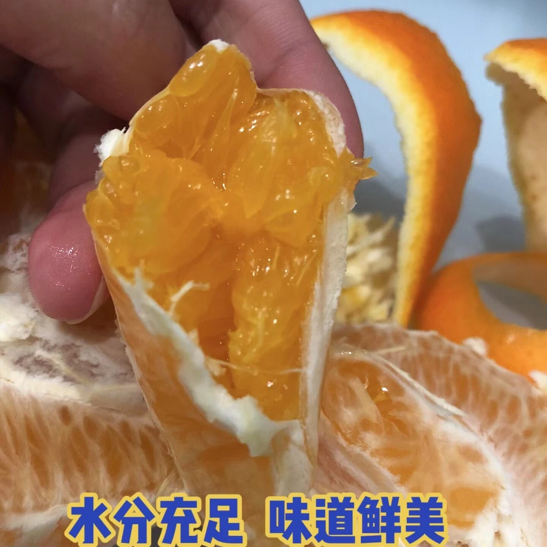 正宗奉节脐橙之纽荷尔(川渝地区拍)