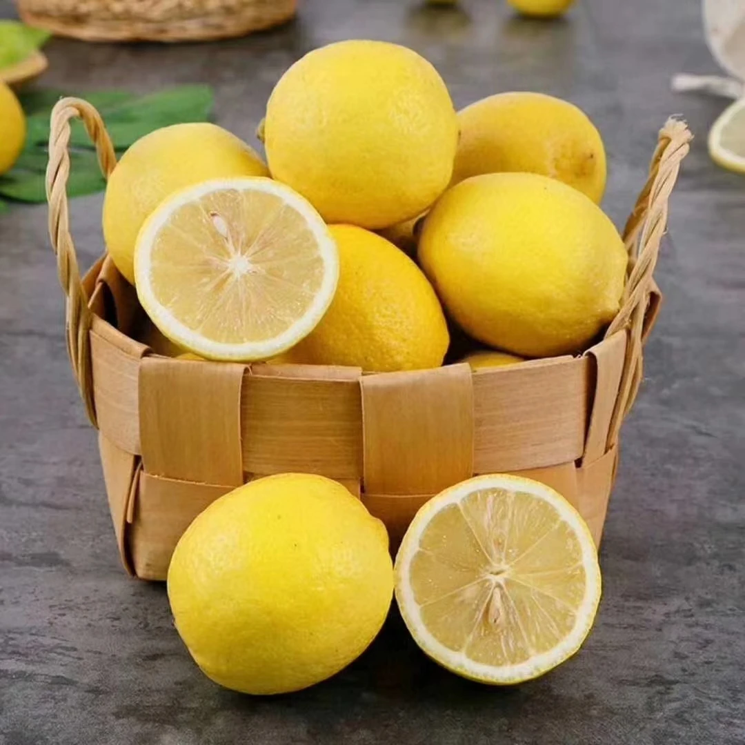 〔小杨黄柠檬〕2023四川安岳柠檬15个现货水果包邮泡水产地直发