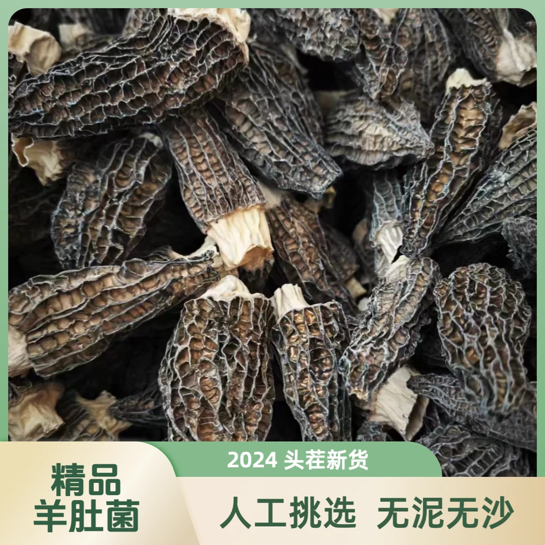 「精品黑金刚」黑白分明高寒山区头茬干货羊肚菌