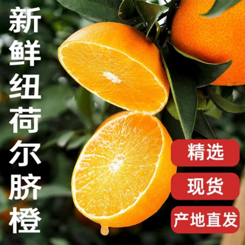 纽荷尔正宗奉节脐橙产地采摘新鲜水果鲜甜橙子皮薄农家非赣南脐橙