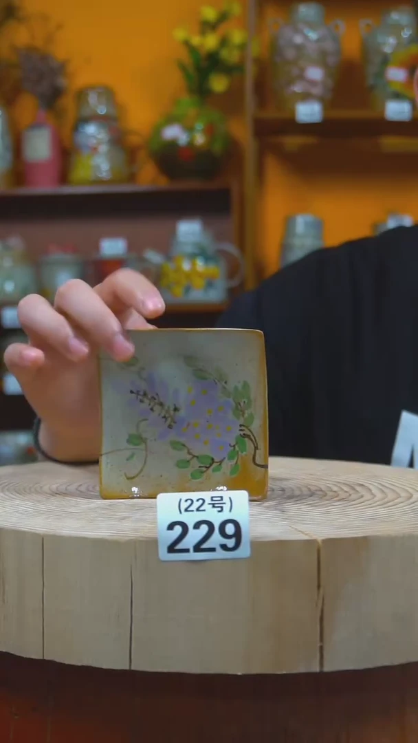 【闪购商品】手工手绘陶瓷229