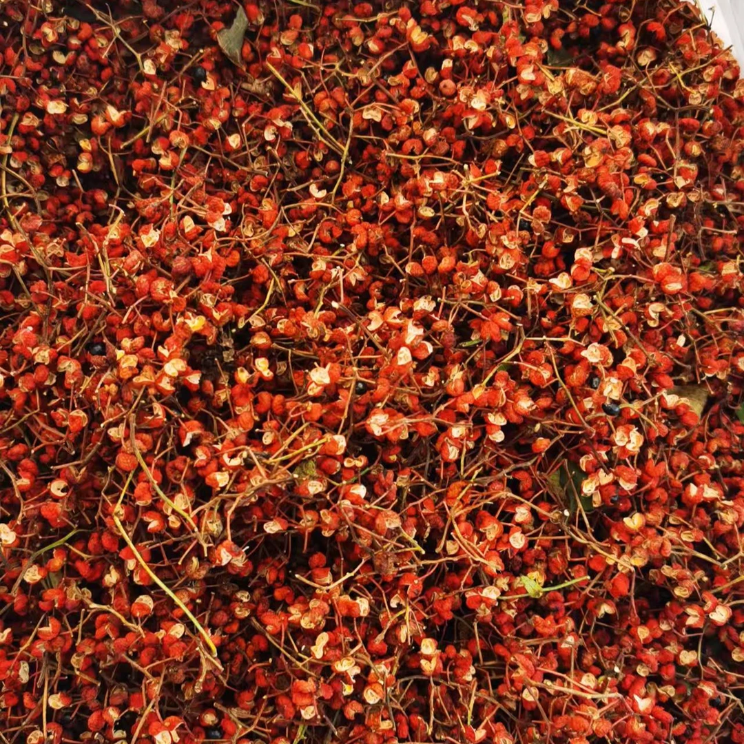 蔡福晋山西芮城九峰山山区花椒大红袍花椒500g