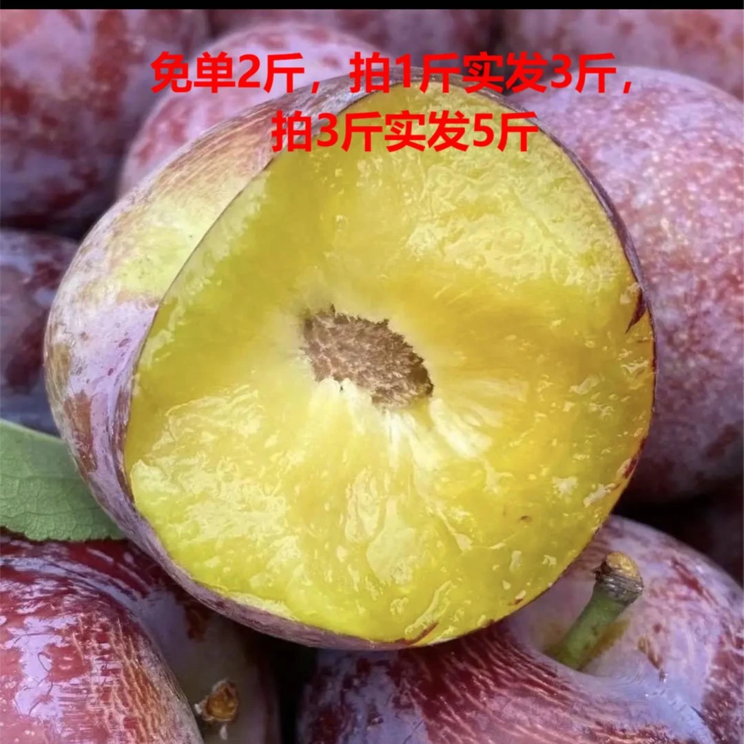四川李子水果顺丰发货肉厚精选爽口