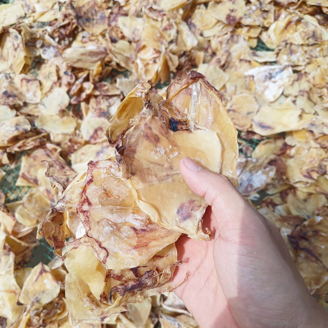 黄鱿片干 甲子本港鱿鱼片仔 干晒而成鲜香鱿鱼片干