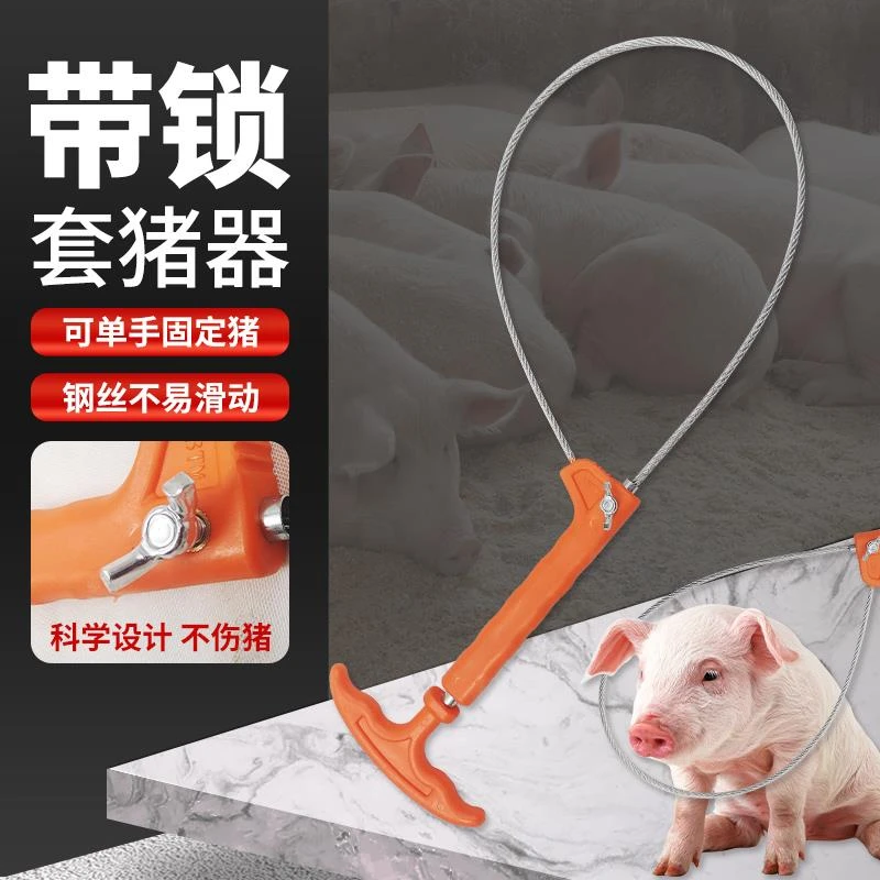 猪用保定器兽用钢丝绳套子套猪绳拉猪抓猪打针捉捕猪器套猪嘴神器