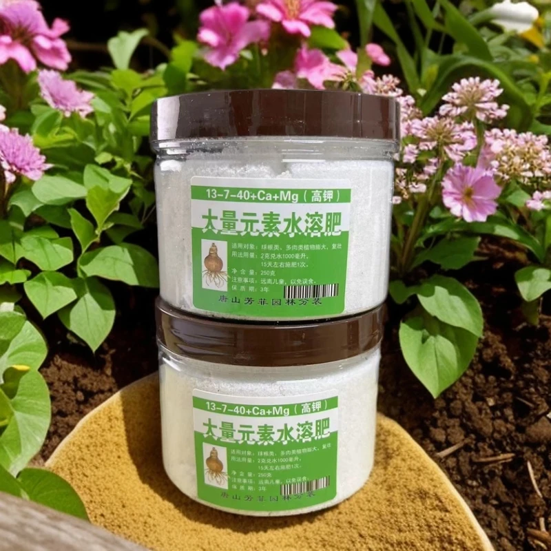 朱顶红【种球复壮大量元素】长球高钾肥料家庭室内养花250克左右