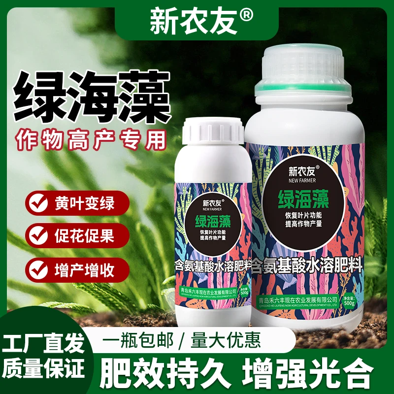 绿海藻恢复叶片功能提高作物产量活土生根补充营养元素大田都通用