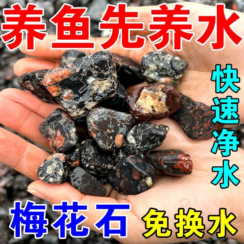 3A净水安山岩汝石梅花玉鱼缸石天然造景石荷花石水族鱼缸过滤石
