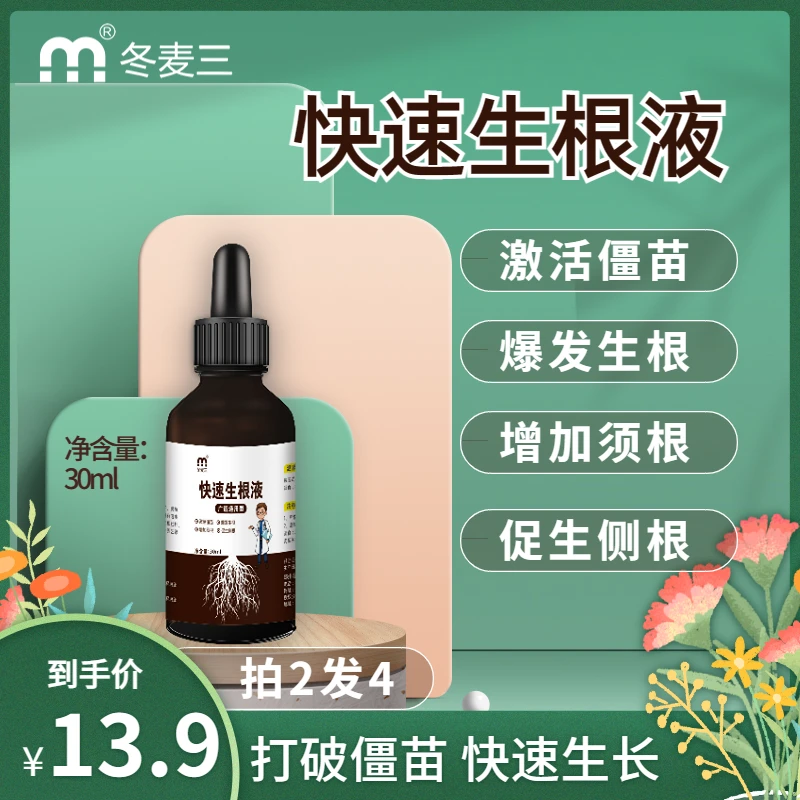 生根液促发新根激活僵苗