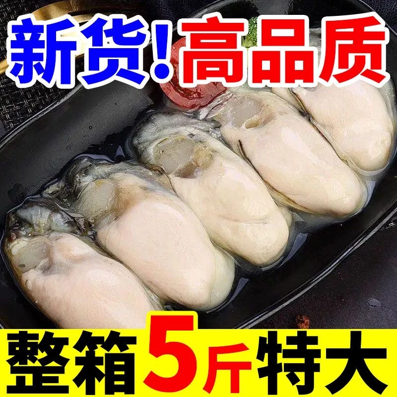 极速发货发10斤刺身级特大生蚝连云港生蚝顺丰发货海蛎子鲜活海鲜