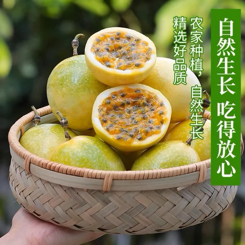 【纯甜】头茬钦蜜9号百香果香甜多汁原产地新鲜爆汁现摘
