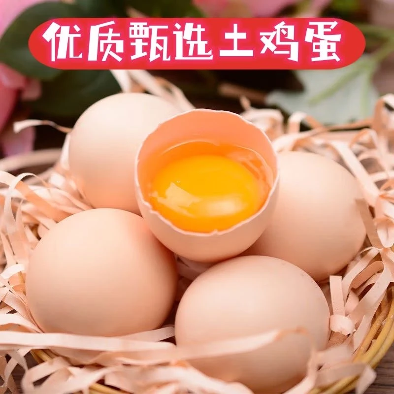包邮农村散养土鸡蛋10-50枚 单枚40-45克 新鲜营养月子蛋孕妇蛋