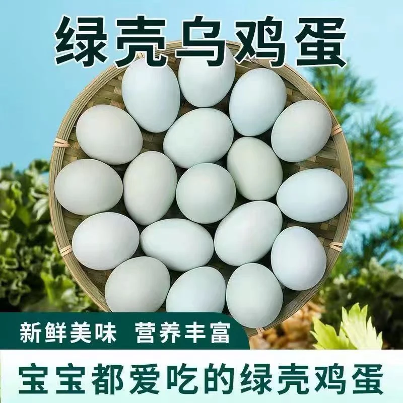 【十枚新鲜绿壳蛋】农家山林散养乌鸡蛋初生蛋绿壳蛋 35±5g/单枚