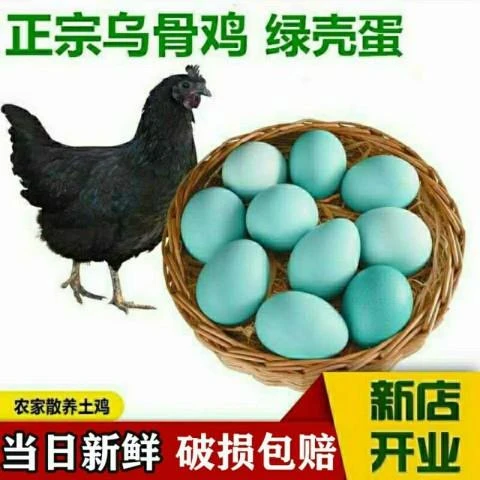 山林散养乌鸡蛋营养新鲜绿壳蛋农家土鸡蛋一箱装草鸡蛋健康