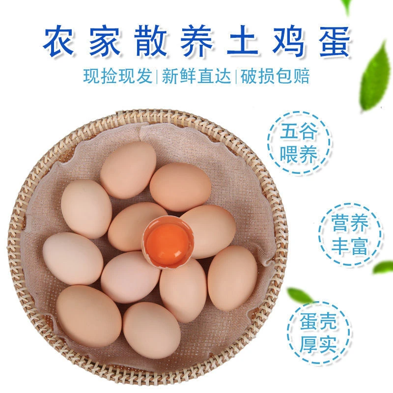 正宗玉米黄虫草鸡蛋散养农村柴鸡蛋营养美味鸡蛋现捡新鲜鸡蛋批发