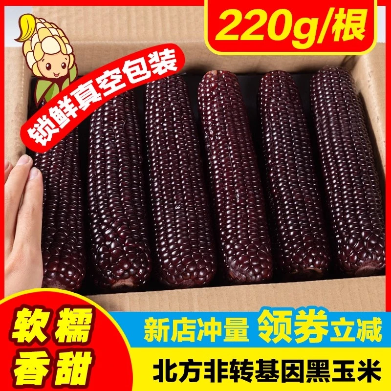 忻州当季头茬黑糯玉米真空包装粘紫色黑玉米甜糯香微甜220g/根