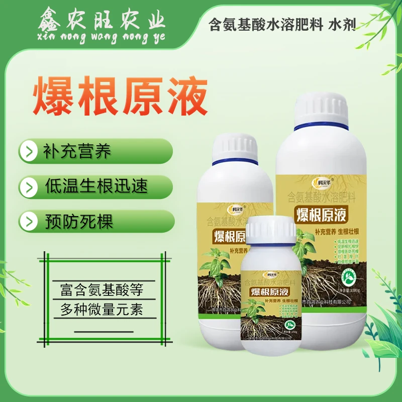 爆根原液强力生根壮苗剂扦插移栽花卉绿萝果树专用促生根壮根肥料