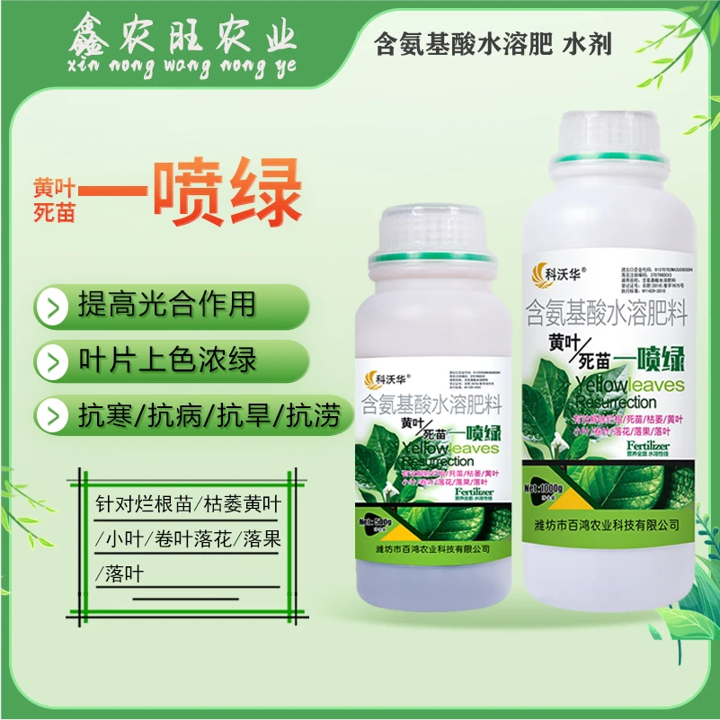 黄叶一喷绿黄叶变绿叶绿素花卉蔬菜果树微量元素通用水溶叶面肥料