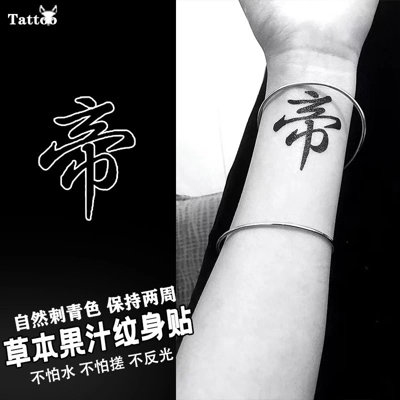 里帝生涯个性小众刺青色草本果汁纹身贴中国风爆款不掉色仿真贴纸