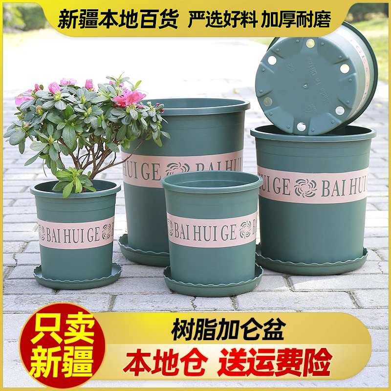 新疆包邮加仑盆创意绿植控根盆阳台种花种菜绿萝盆栽月季塑料花盆