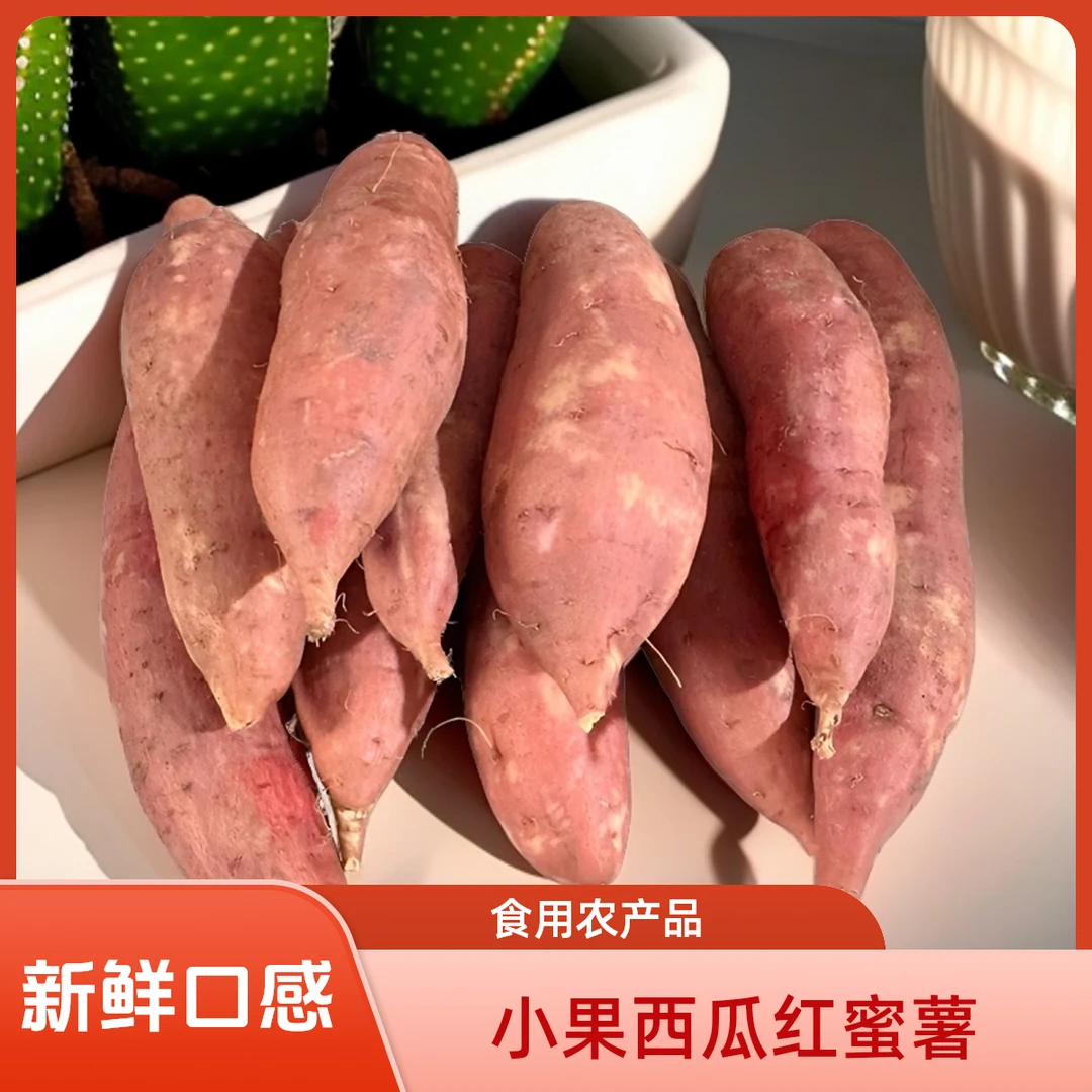 【主播推荐】金领专属 小果 西瓜红拇指蜜薯  规格1两-3两 4.8斤装