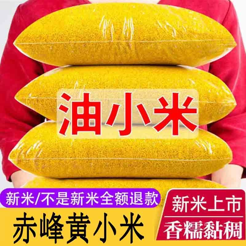 谷天赐黄小米2024年新米五谷杂粮优质黄色颗粒饱满天然营养健康