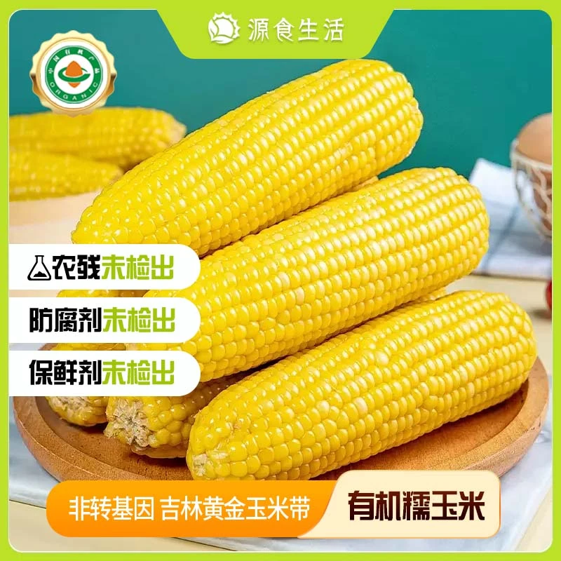 【源食生活】有机玉米8穗/箱正宗东北吉林品质玉米甜糯玉米白黄糯