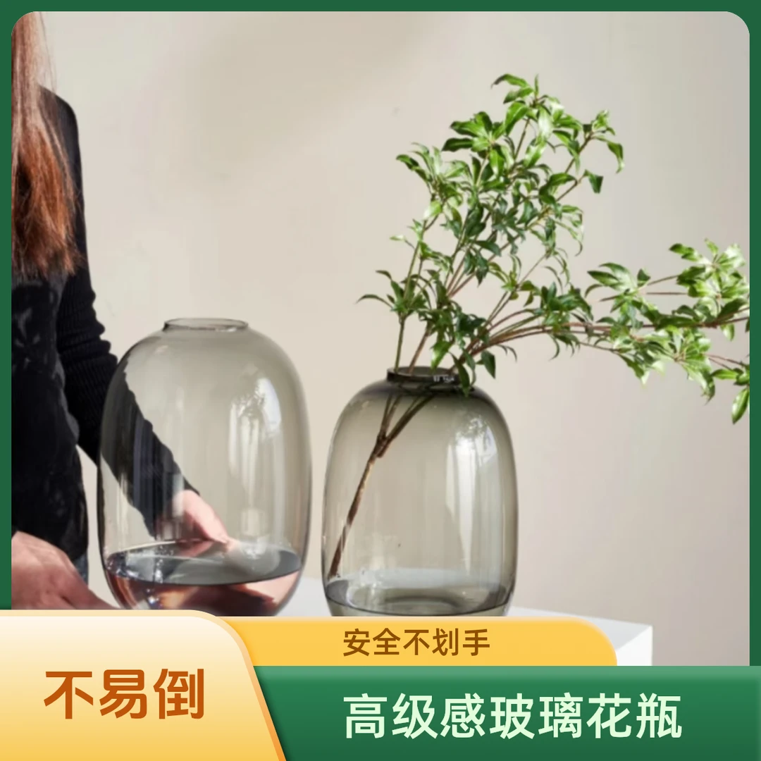居家大肚花瓶喜悦简约高级感玻璃花瓶家居卧室水养马醉木雪柳水养