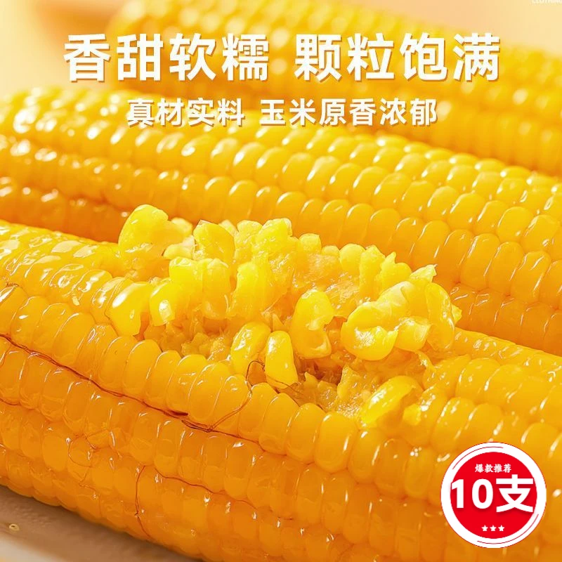 东北粘糯玉米10棒东北黄糯粘玉米甜玉米粘黏苞米粗粮真空包装