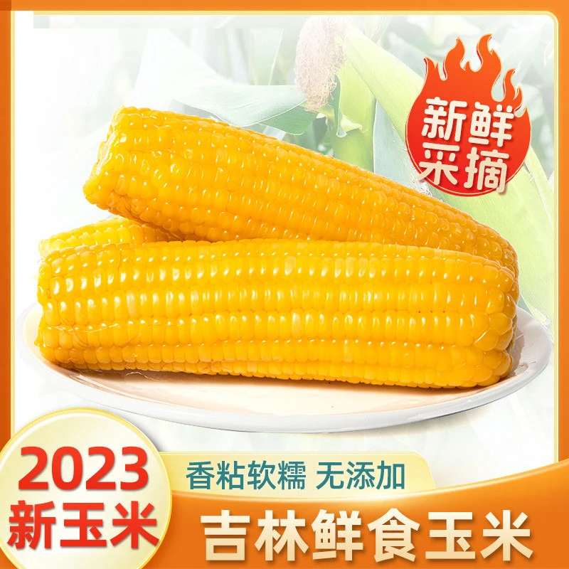 粘糯玉米头茬东北黄糯玉米真空包装玉米颗粒饱满蒸煮食用