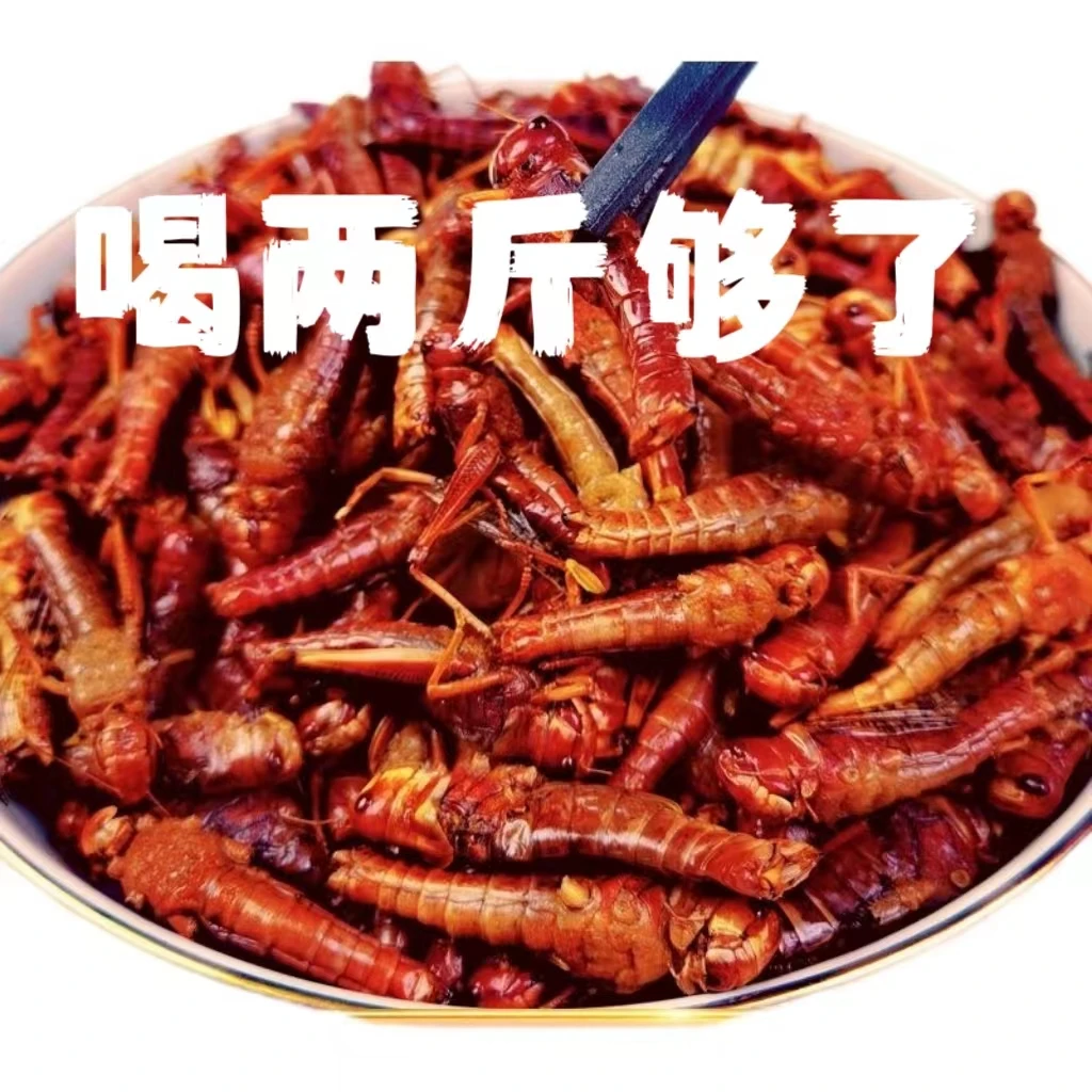 (包邮)山东特产2024年新鲜蚂i蚱昆i虫美食蝗i自产虫