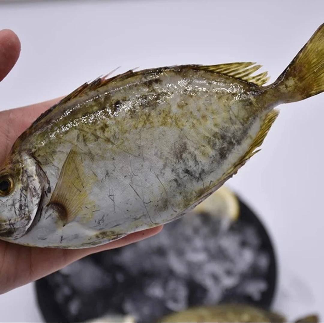 新人福利泥猛鱼5斤装，有帮去内脏！