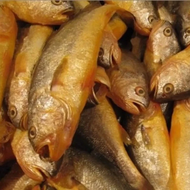 南通吕四港野生小黄鱼一盒99净含量400g