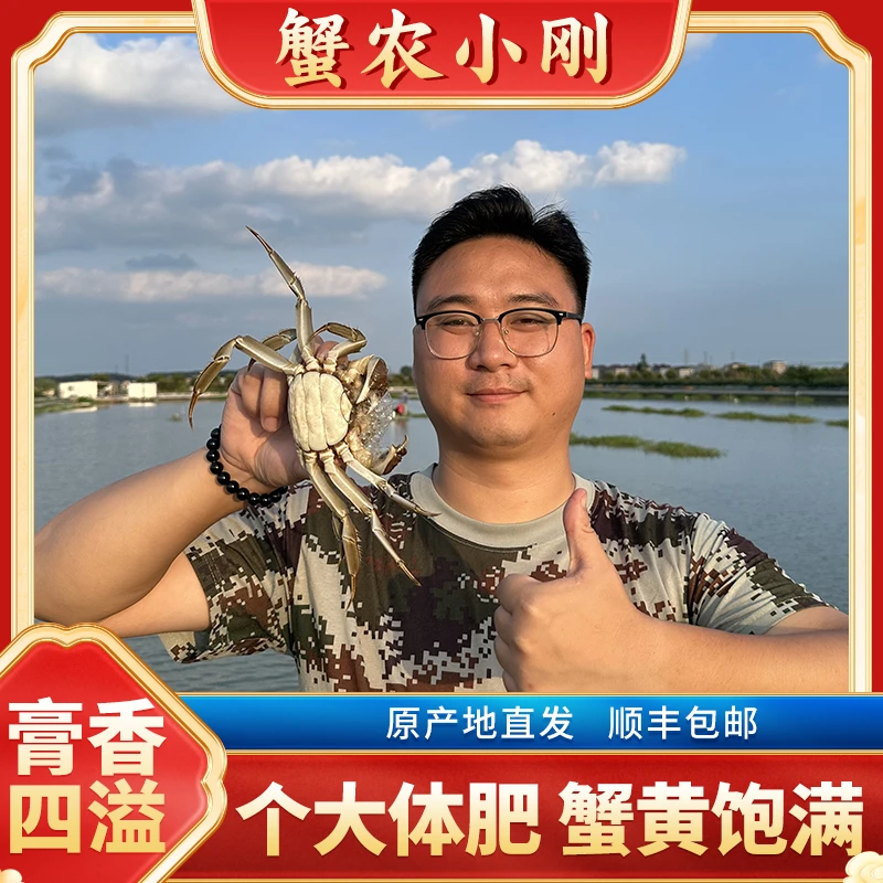 【活蟹现发】兴化大闸蟹纯母2.8-3.1两8只去绳净重礼盒顺丰京东包邮