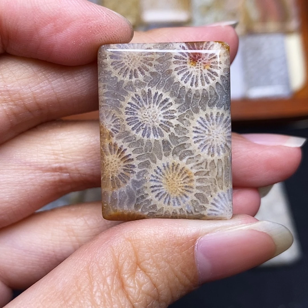 硅化玉珠宝奇石未镶嵌不*