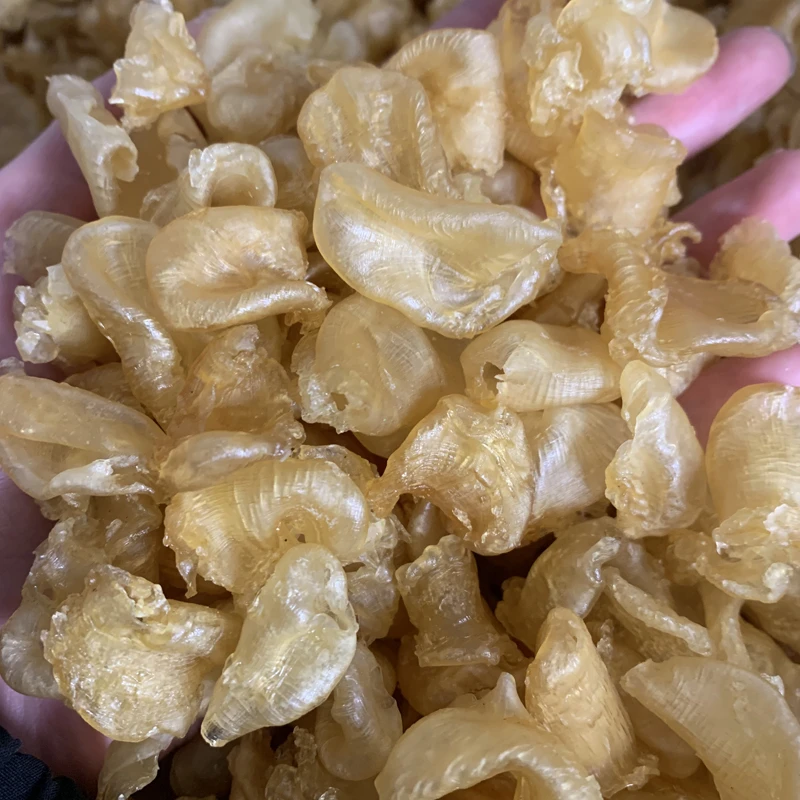 丑胶捡漏链接清水珍珠胶鱼胶花胶有大有小煮糖水炖牛奶不影响口感