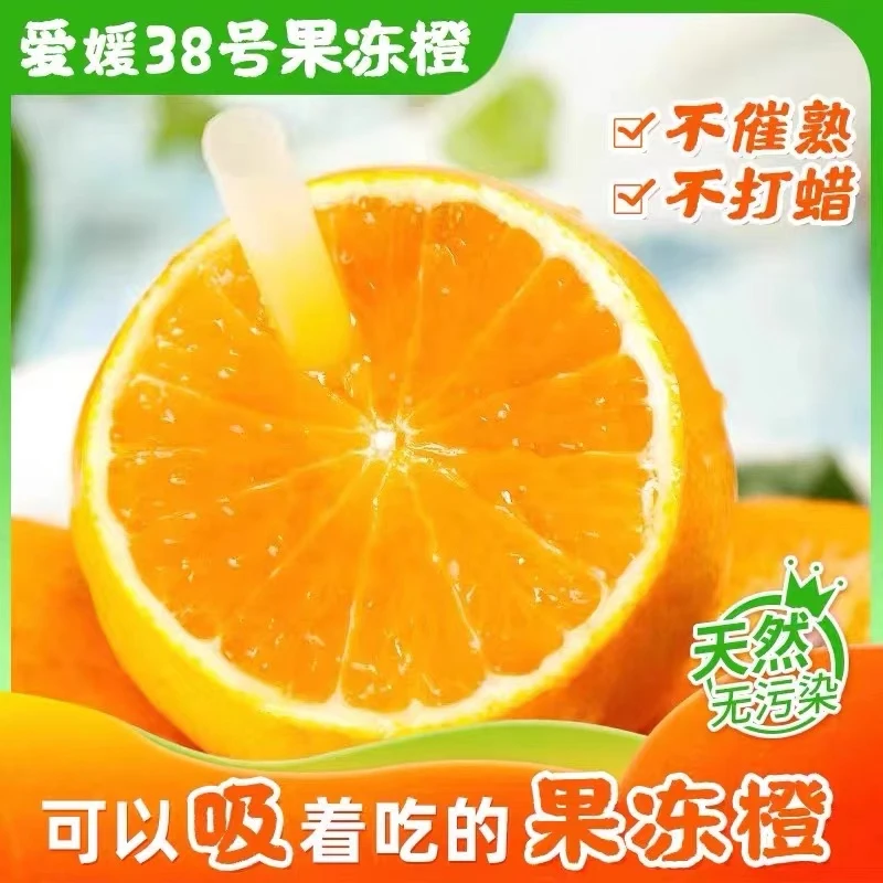新鲜爱媛橙纸箱包邮现摘现发新鲜应季水果
