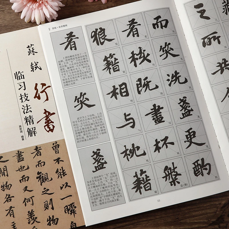 苏轼行书临习技法精解 黄州寒食诗帖 前赤壁赋 毛笔书法教程入门