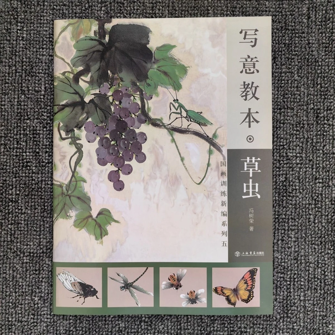 写意教本草虫国画训练新编国画技法讲解入门教程写意草虫国画