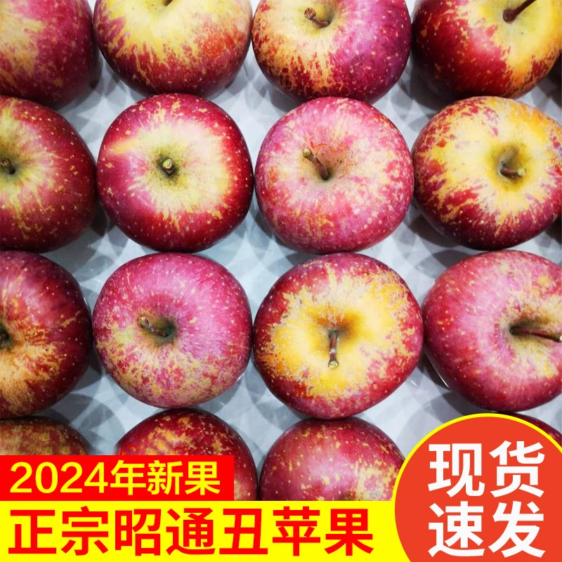 【特大果】云南昭通丑苹果正宗冰糖心苹果新鲜整箱当季5斤/9斤可选