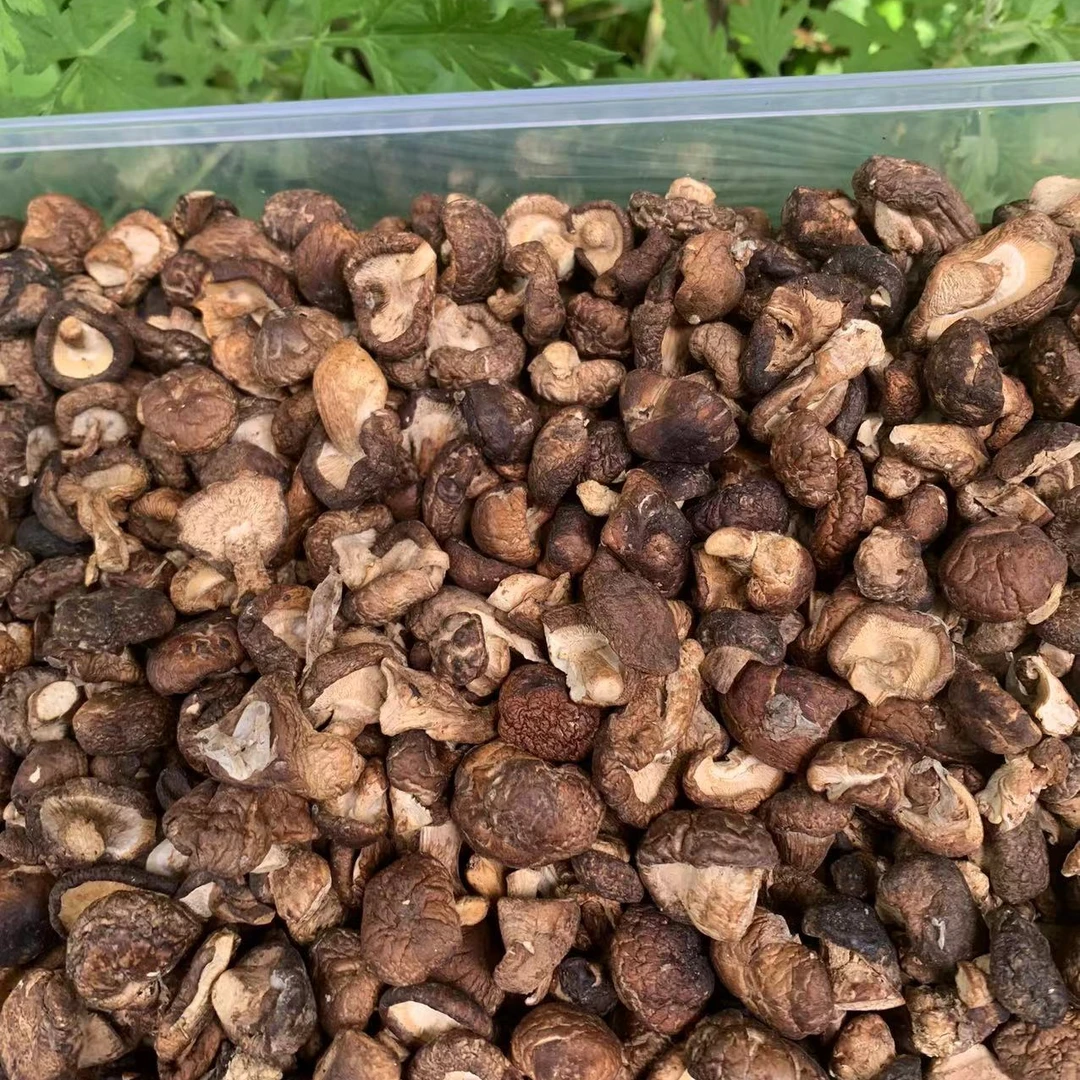 1【小-小-香-菇】净含量：250g-500g【阿忠现收现卖】