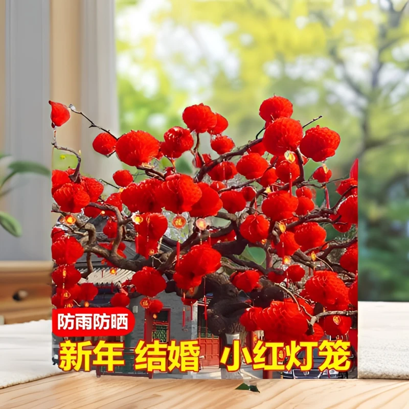 春节灯笼户外防水大红灯笼婚庆开业节日节庆装饰新年小纸灯笼挂饰