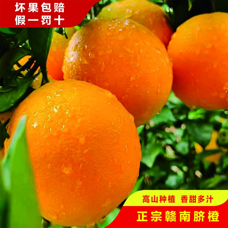 正宗江西赣南脐橙水果10斤20装新鲜超甜大果果园直供橙子产地直发