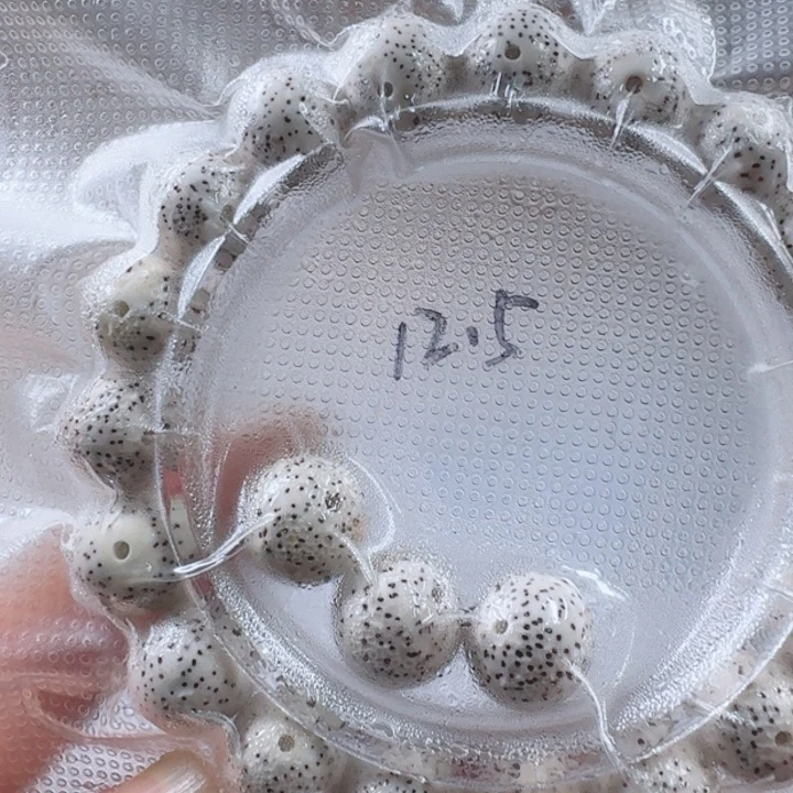 星月菩提吊坠大**乐星月