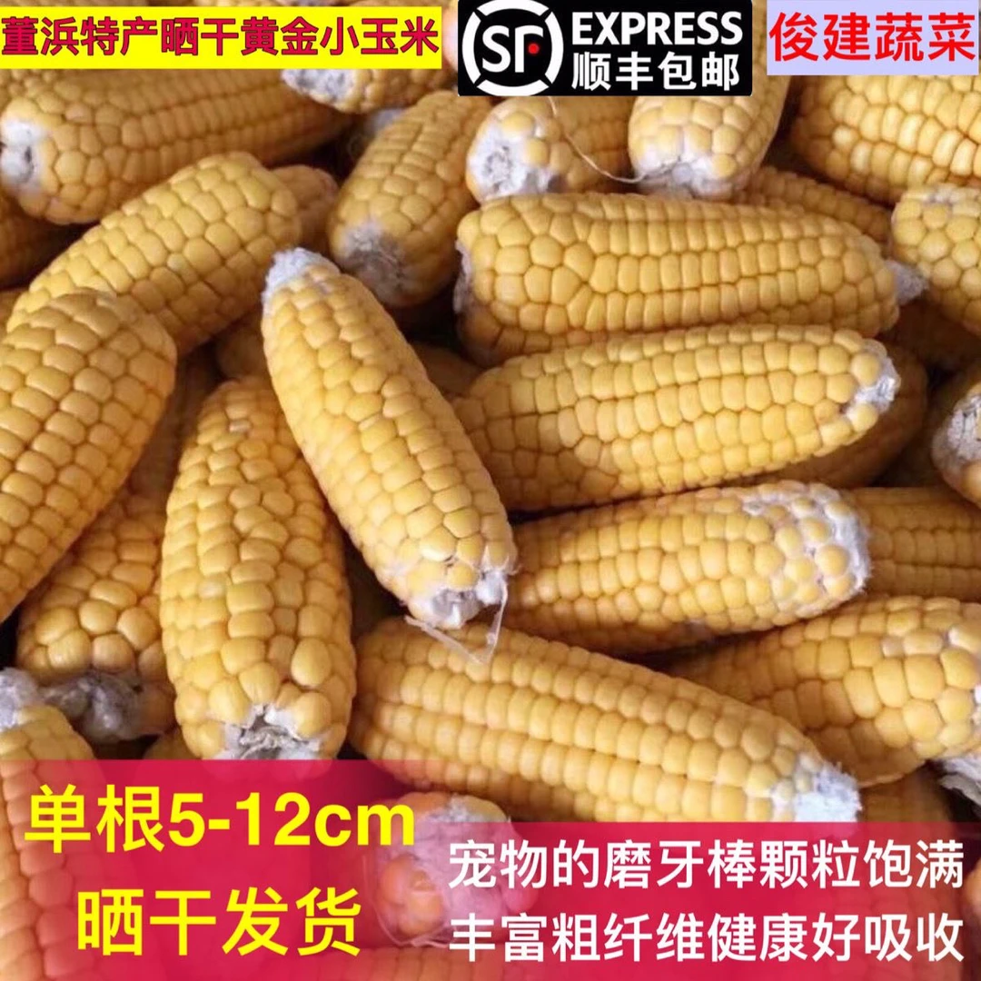 顺丰网红迷你磨牙玉米棒仓鼠最爱晒干玉米棒农家自种小玉米半斤起
