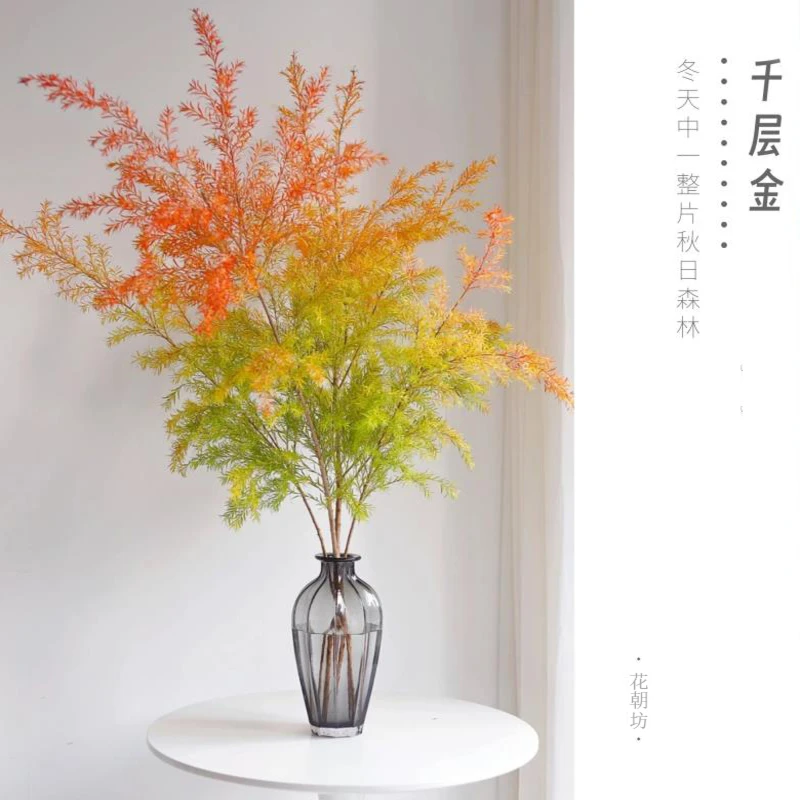 【花朝坊】千层金室内居家水培水生新鲜绿植选品 下单顺丰包邮