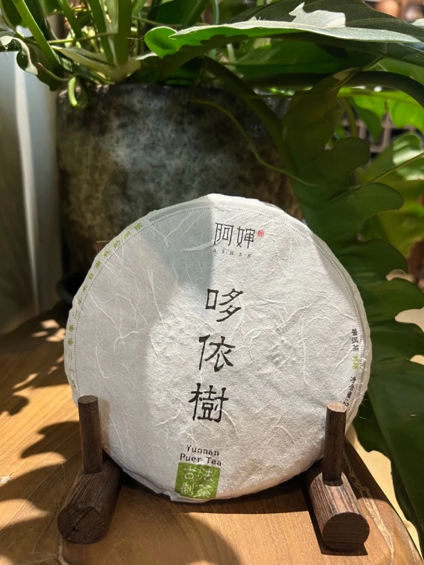 【阿婶 哆依树高杆春茶】2023头春 汤柔水香 花果香