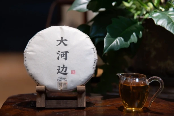 【阿婶 大河边普洱茶生茶】2019春